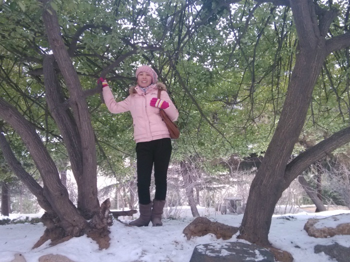 IMG 20130101 150538[1]